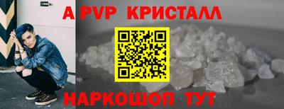 шишки Кимры