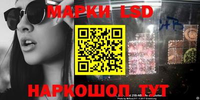 шишки Кимры
