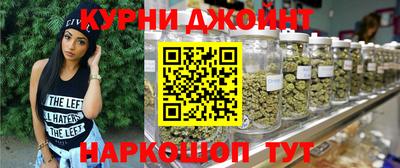 шишки Кимры