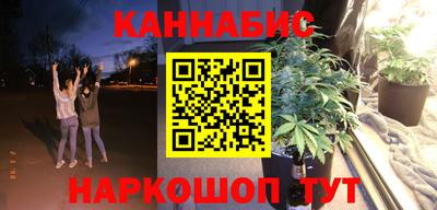 дурь Кингисепп
