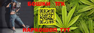 дурь Кингисепп